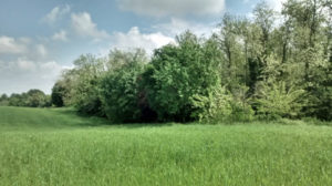Campo Emilia Romagna - Corso Base Teorico Pratico di Agricoltura Biodinamica