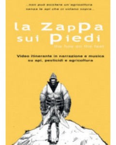 Film Food Festival: Il film di Andrea Perdicca sulle api 17 febbraio 2017 Milano