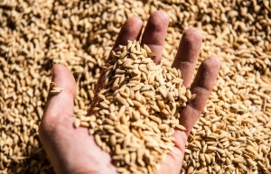 Origini Biodinamica