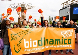 Il movimento biodinamico in Italia