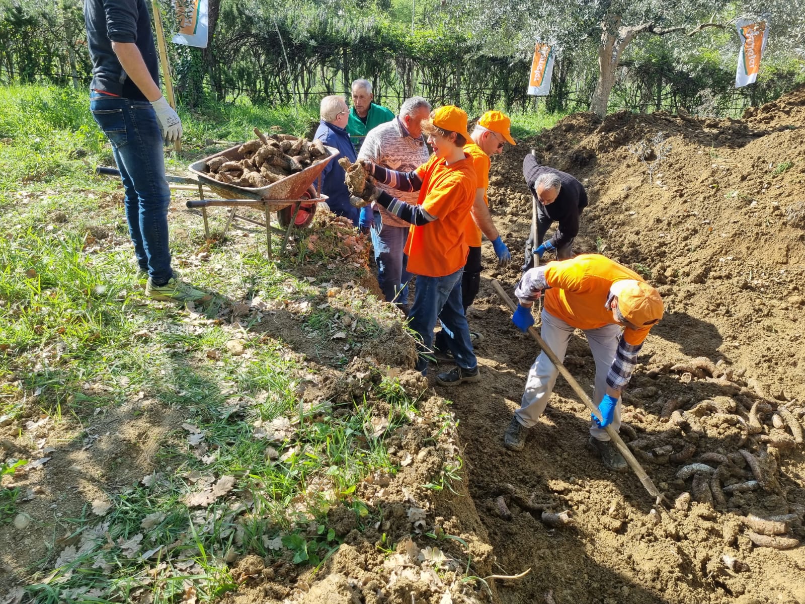 L’allestimento del preparato biodinamico 500 al centro delle attività delle Sezioni Regionali dell’Associazione Biodinamica