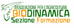 Formazione