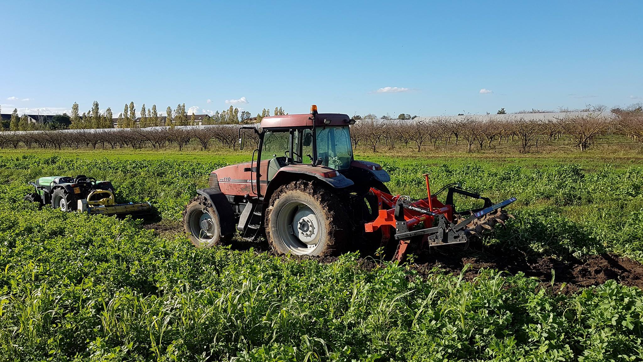 AL VIA LA MARATONA DELL’AGRICOLTURA BIODINAMICA IN TUTTA ITALIA