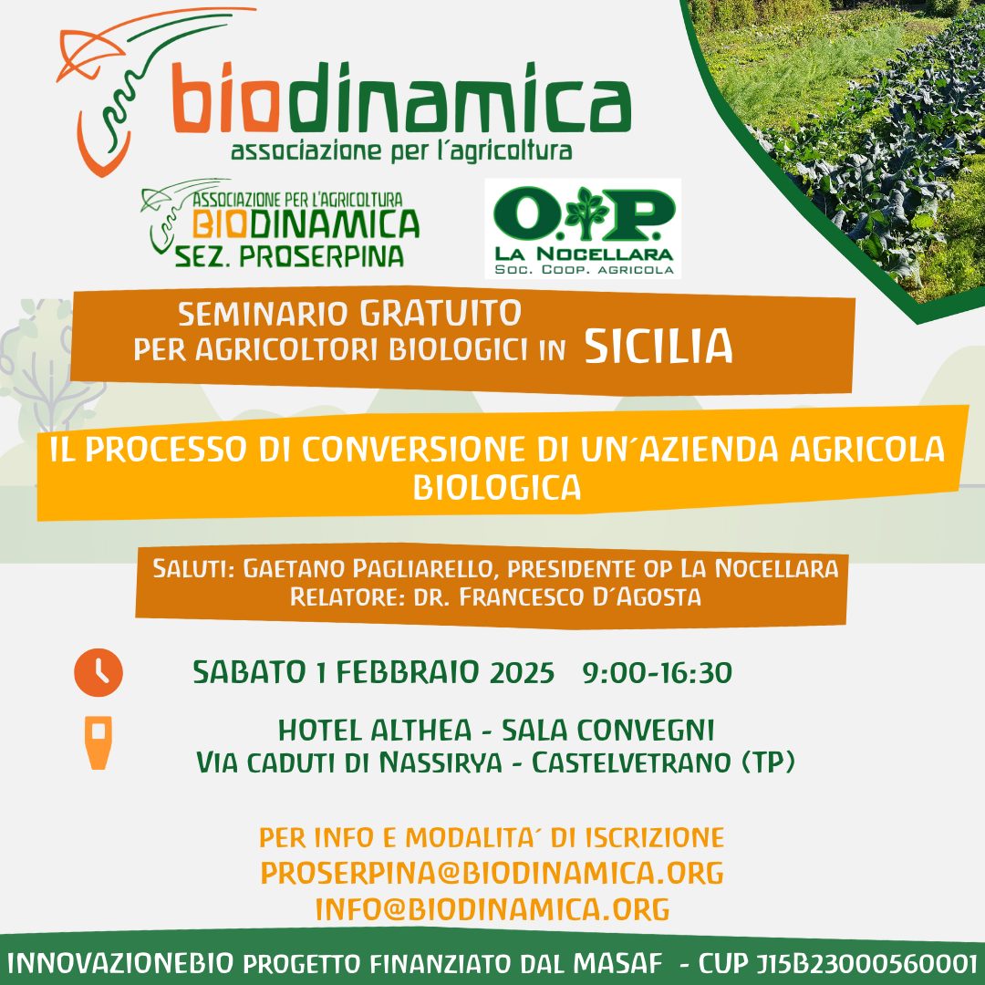 Seminario GRATUITO in Sicilia il 1 febbraio 2025: Il processo di conversione di un’azienda agricola biologica – Castelvetrano (TP)