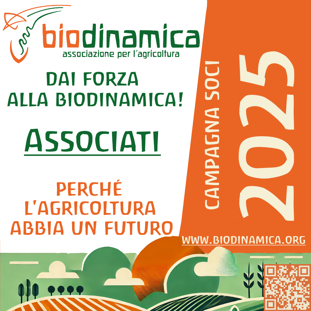 Diventa parte del cambiamento: sostieni l’agricoltura biodinamica!