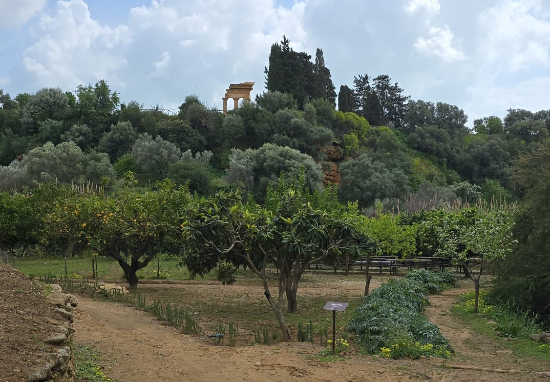 Seminario InnovazioneBio sul Sistema di certificazione biologico. Agrigento, 29 marzo 2025