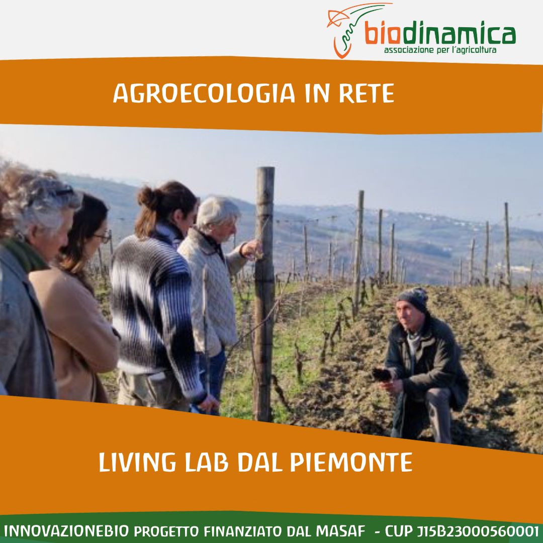 Il progetto Innovazione Bio: anche dal Piemonte un’esperienza positiva per gli agricoltori