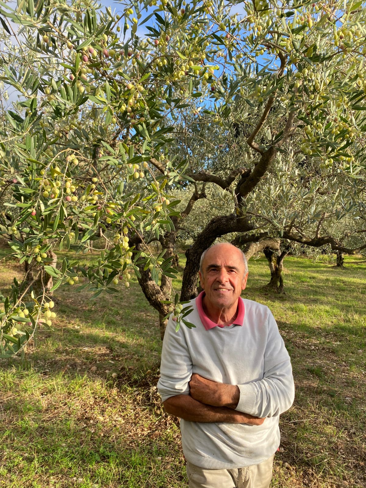 Estate biodinamica: programmare la distribuzione dei preparati d’autunno. Intervista a Carlo Noro