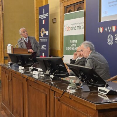 Alessandro Piccolo