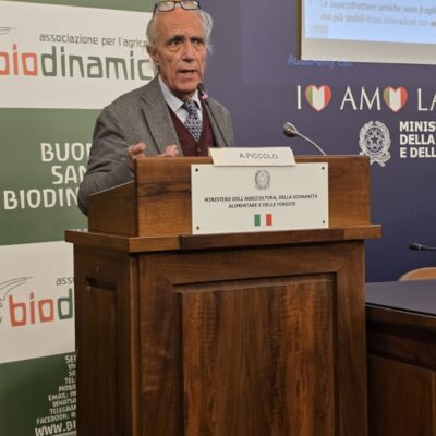 Alessandro Piccolo
