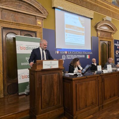 Luigi D'Eramo