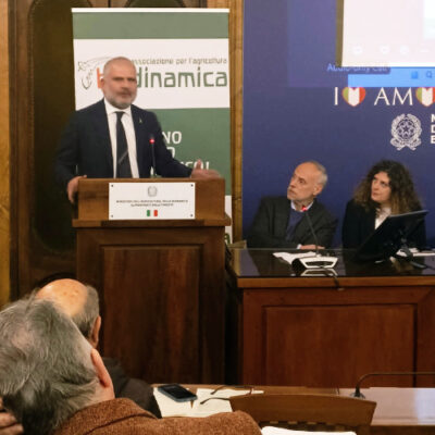Luigi D'Eramo