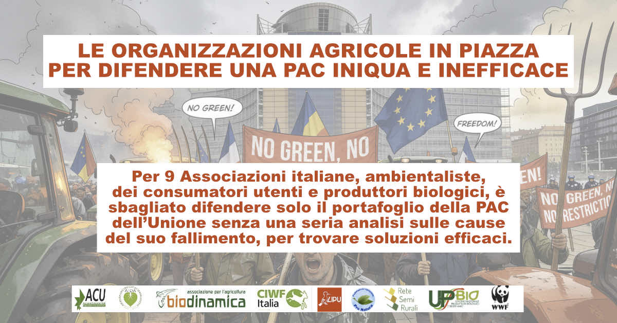 LE ORGANIZZAZIONI AGRICOLE IN PIAZZA PER DIFENDERE UNA PAC INIQUA E INEFFICACE- Comunicato stampa