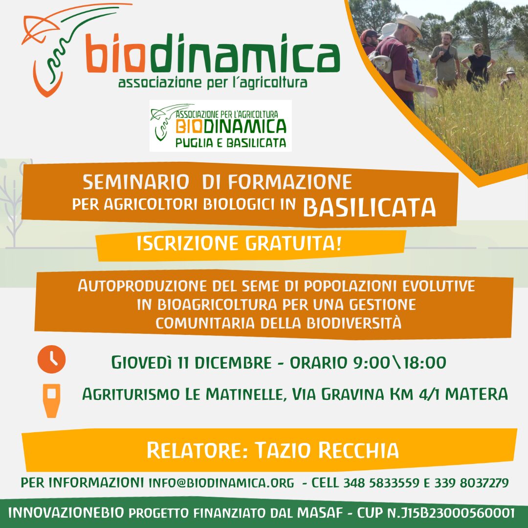11 dicembre 2025 a Matera Seminario GRATUITO Autoproduzione del seme di popolazioni in bioagricoltura