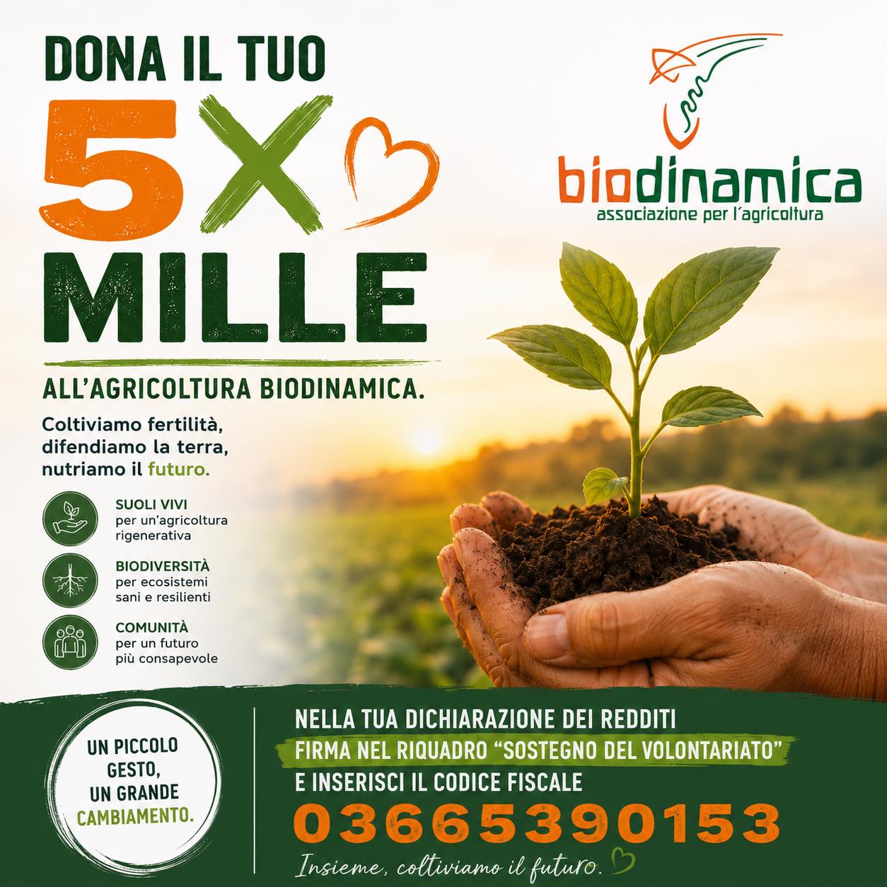 Il tuo 5xmille all’agricoltura biodinamica: sostienici a costo zero!